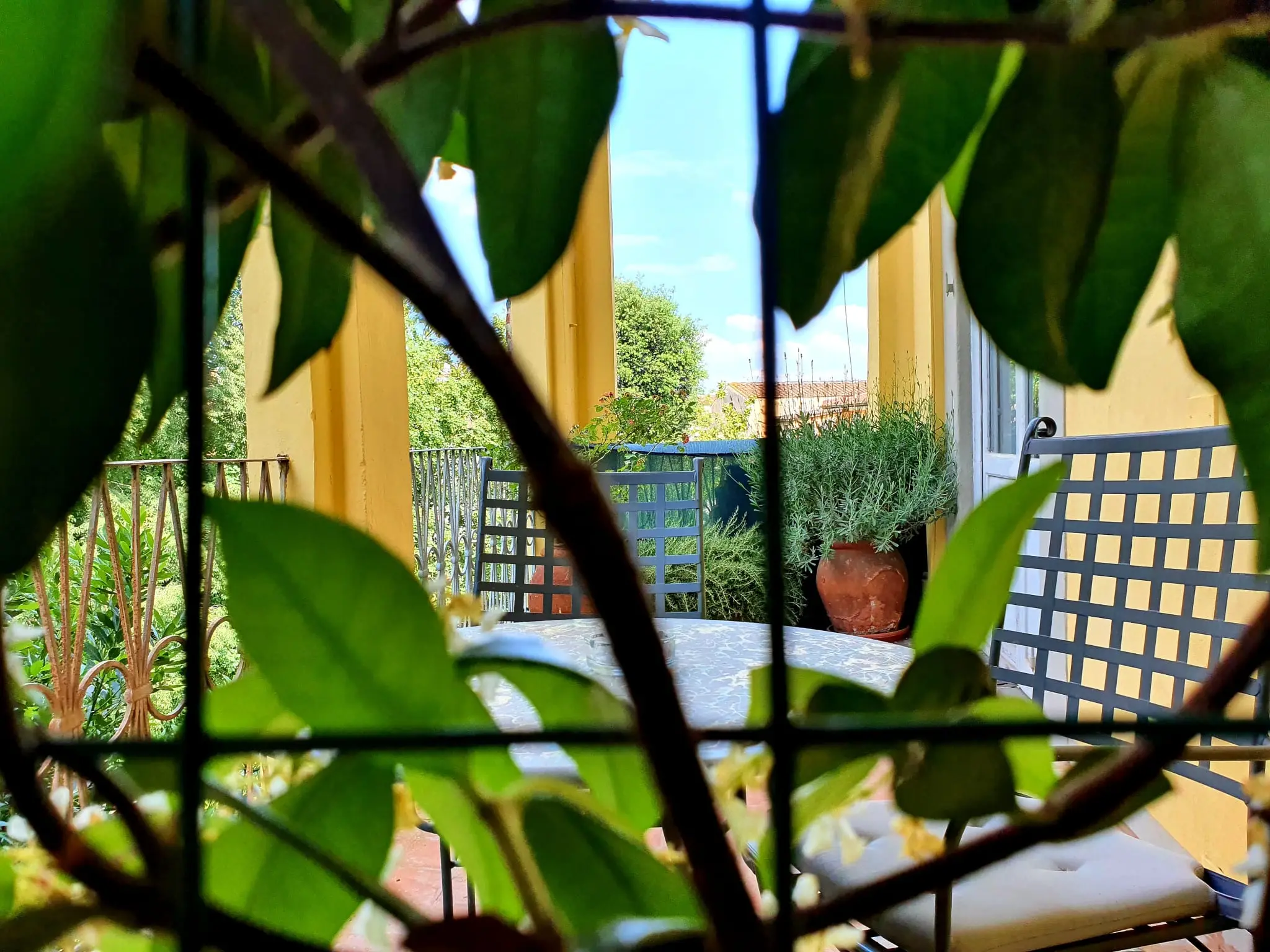 A terrace glimpsed through leaves