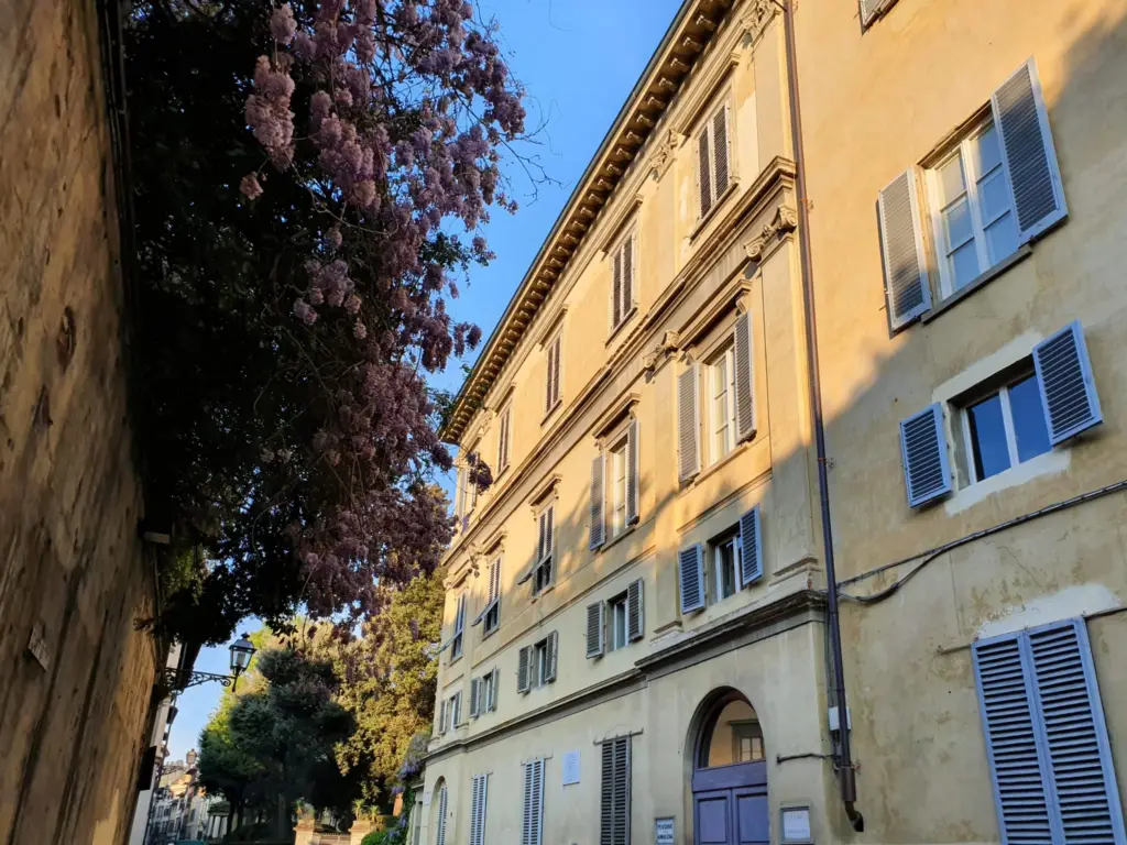The yellow facade of the house on Via Romana with wisteria in bloom