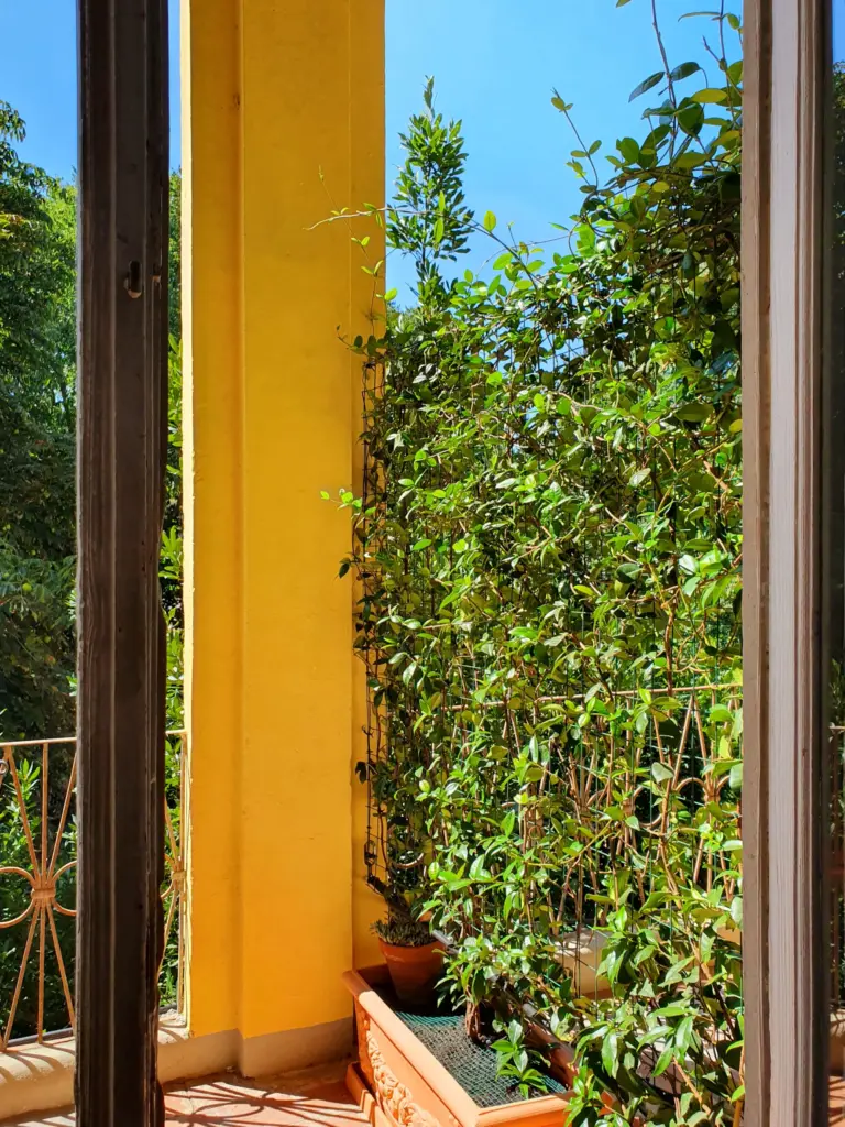 Tall window opening onto the greenery