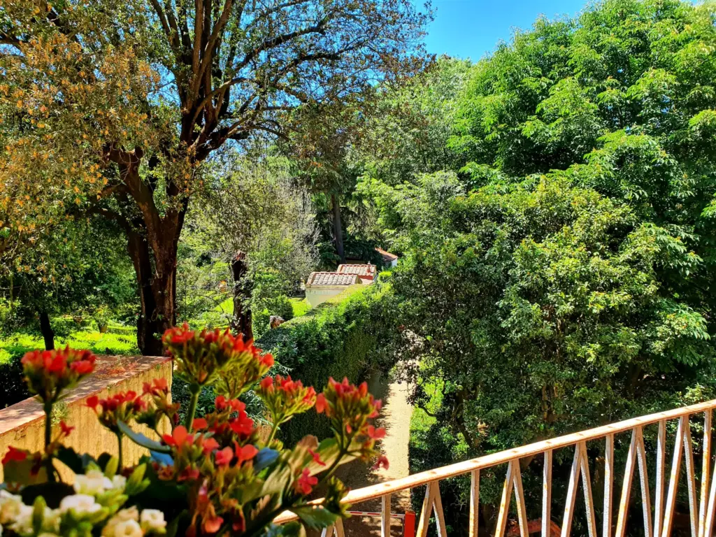 Red flowers on a balcony overlooking the trees of the garden