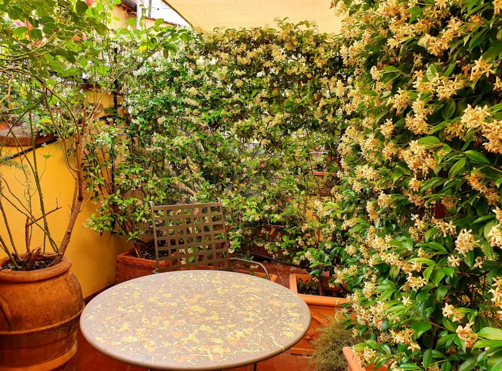 Terrace with a round marble table surrounded by jasmine