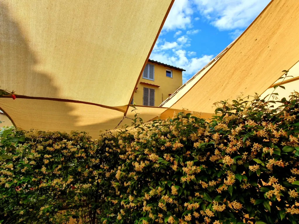 Terrace under a sail awning with flowering hedges
