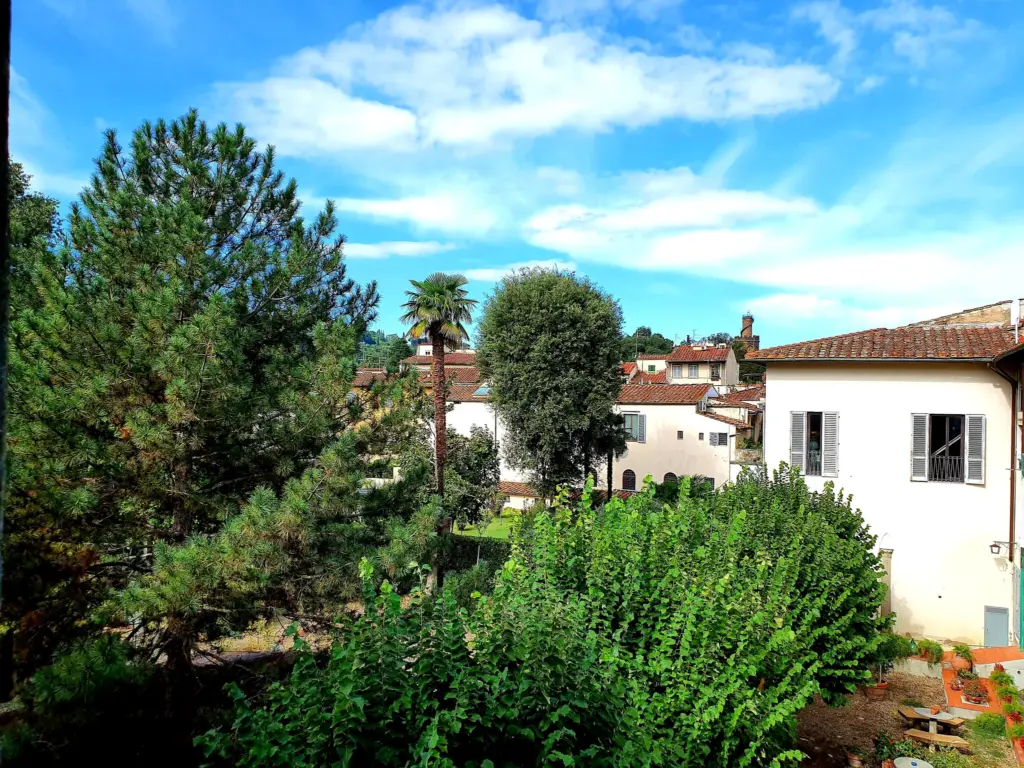 Garden trees with a villa and a palm, seen from the house
