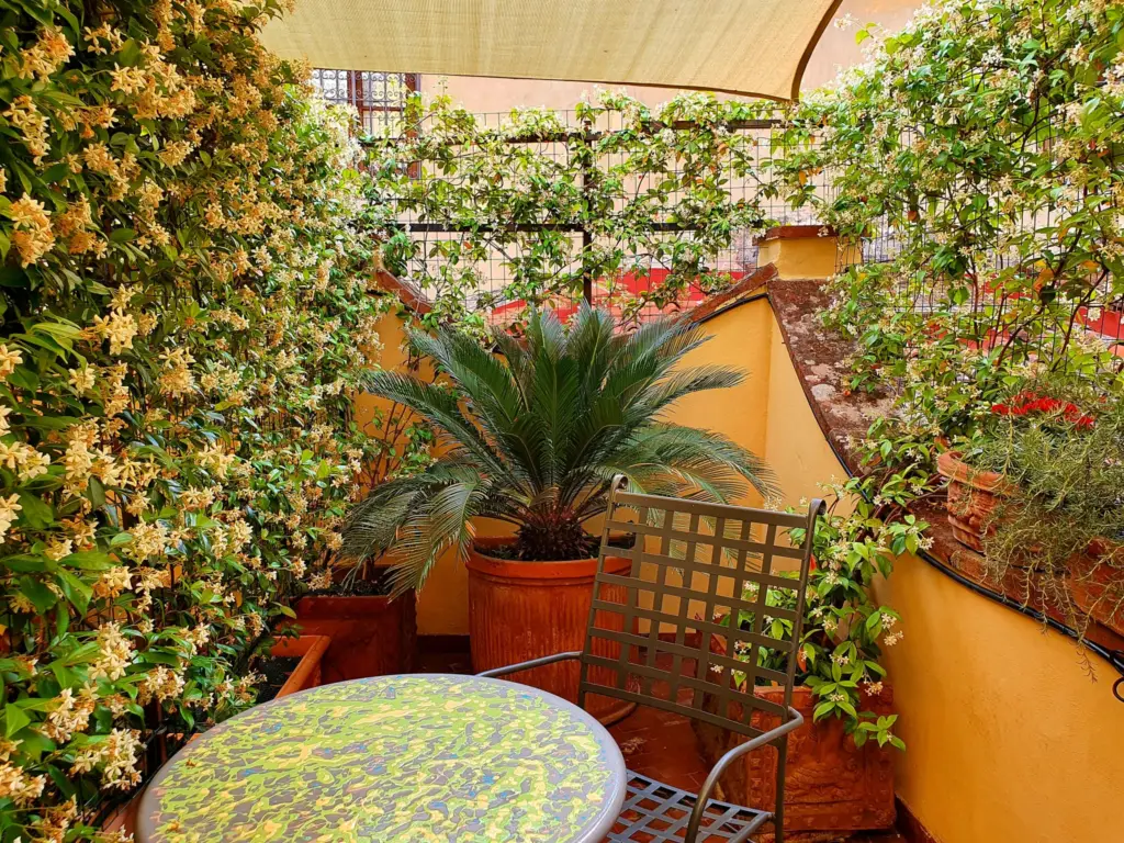 Terrace with potted palms and a mosaic table