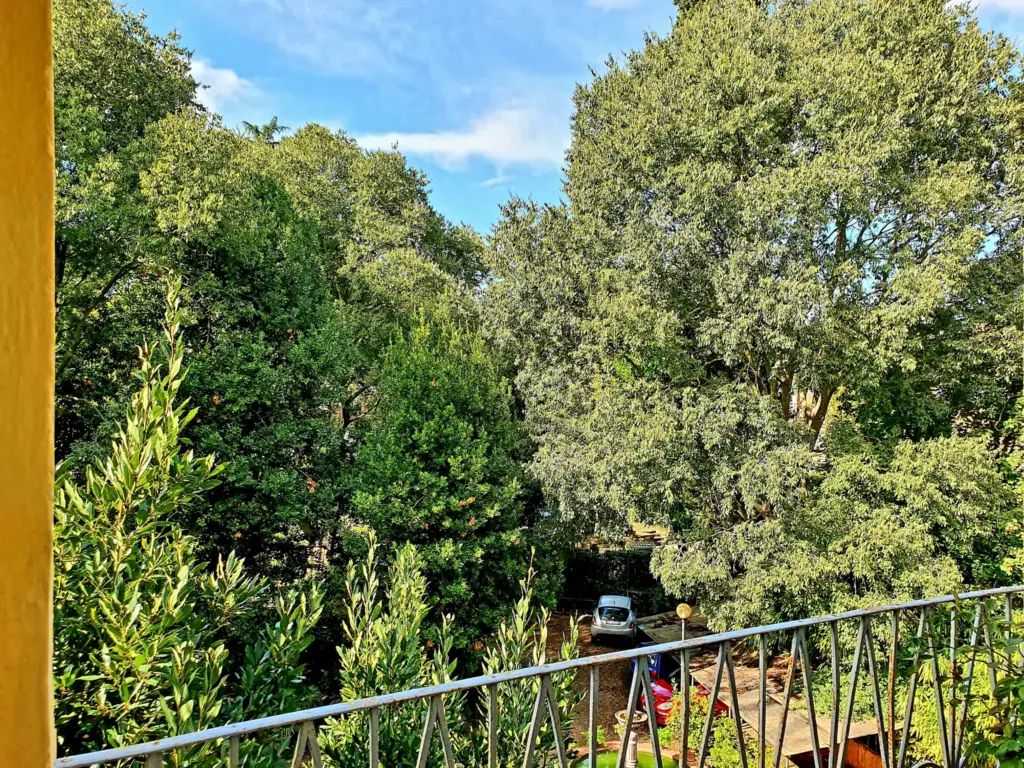 Dense green trees seen from a balcony railing